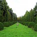Grădina Botanică în Municipiul Iaşi oraş