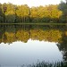 Пруд Стрелка в городе Раменское