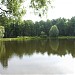 Пруд Стрелка в городе Раменское