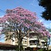 Visão do Cruzamento na Rolândia city