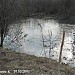 Пруд-болото в пойме реки Чермянки в городе Москва