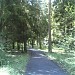 Цаговский лес в городе Жуковский