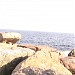 Magnolia Rocks East in Gloucester, Massachusetts city