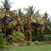 Sanket-Garden Resort-Gawdyanche Parde(Wadachapat) in Vadache Paat city
