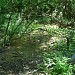 Верховья Михайловского оврага (ru) in Moscow city