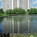 Малый Коньковский пруд в городе Москва