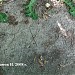 Остатки испытательного комплекса гидролаборатории ЦНИИСа в городе Москва