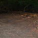 PLACE TO PERFORM POOJA (en) in Hiwale city