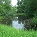 Пруд с плотиной в городе Москва