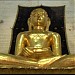 अमरकंटक शहर में Sarvodaya Jain Temple - Amarkantak  (en)