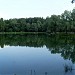 Пруд Стрелка в городе Раменское