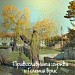 „Големият врис“ in Малко Търново city
