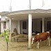 Mishra House in Jaunpur city