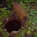 Территория бывших химических складов, складов горюче-смазочных материалов, лабораторий и архива в городе Москва