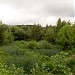 Заболоченный участок на реке Коровий враг (ru) in Moscow city