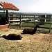 Mini Fazendinha na São Pedro city