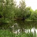 Пруд в пойме реки Коровий враг (ru) in Moscow city
