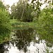 Пруд в пойме реки Коровий враг (ru) in Moscow city