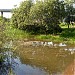 Засыпанный пруд в городе Москва