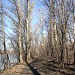 Прогулочная зона за территорией ГКНПЦ им. М.В. Хруничева в городе Москва