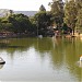 Pedalinhos na São Pedro city