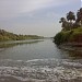 Kufa in Kufa city