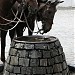 Bebedouro de Animais na Curitiba city