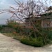 Mr.P.Kharlukhi(Hep) in Shillong city
