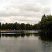 Озеро Пионер в городе Раменское
