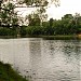 Озеро Пионер в городе Раменское