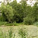 Верхний пруд Чернавка в городе Раменское