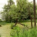 Верхний пруд Чернавка в городе Раменское