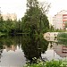 Средний пруд Чернавка в городе Раменское