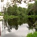 Средний пруд Чернавка в городе Раменское