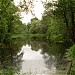 Средний пруд Чернавка в городе Раменское