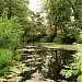 Нижний пруд Чернавка в городе Раменское