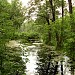 Нижний пруд Чернавка в городе Раменское