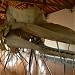 Exhibition of a whale skeleton (en) 在 臺南市 城市 