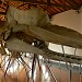 Exhibition of a whale skeleton in Tainan City city