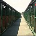 Бывший приют для безнадзорных животных ООО «Мир животных» в городе Москва