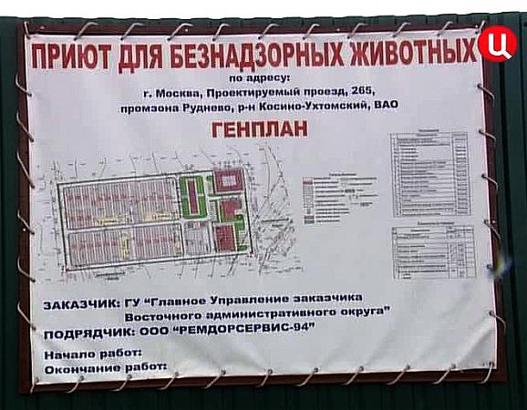 Астраханские чиновники показали план питомника для бездомных животных АРБУЗ