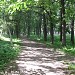 Мытищинский ЦПКиО в городе Мытищи