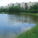 Нижний Ивановский пруд в городе Москва