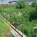 Начало коллектора реки Серебрянки в городе Реутов