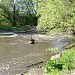 Небольшие пороги в городе Киев