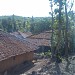 Palav