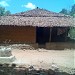 Palav