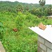 Rego Compound in Mangalore city
