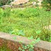Rego Compound in Mangalore city