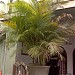 Jintu, Jitto, Jinse (house) in Dharmapuri city
